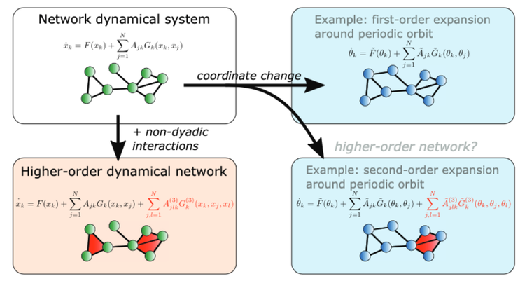 What are higher-order networks?