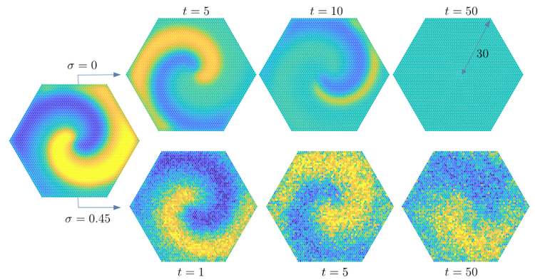 Noise-induced patterns in neurobiological networks