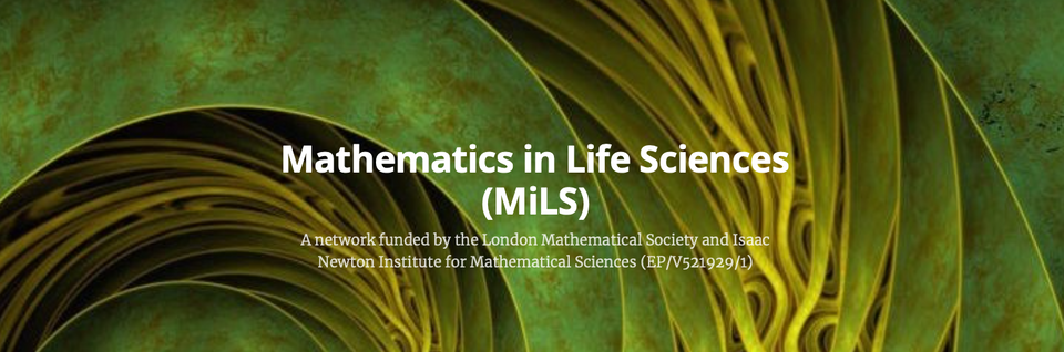 Joint workshops with the Mathematics in Life Sciences Network