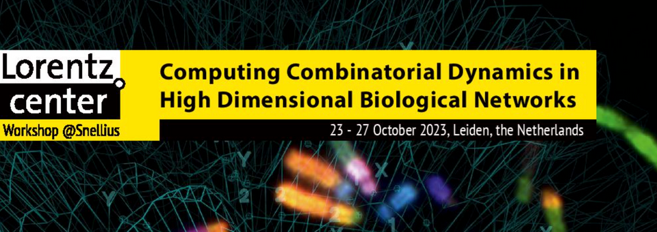 Lorentz Center workshop on Computing combinatorial dynamics in high dimensional biological networks