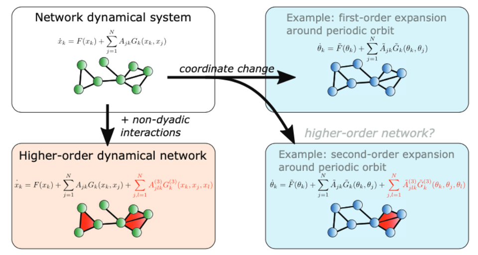 What are higher-order networks?